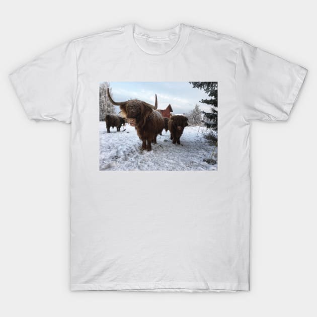 Scottish Highland Cattle Cow and Calf 1873 T-Shirt by SaarelaHighland